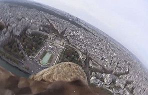 Zobacz Paryż z perspektywy orła. Dosłownie!
