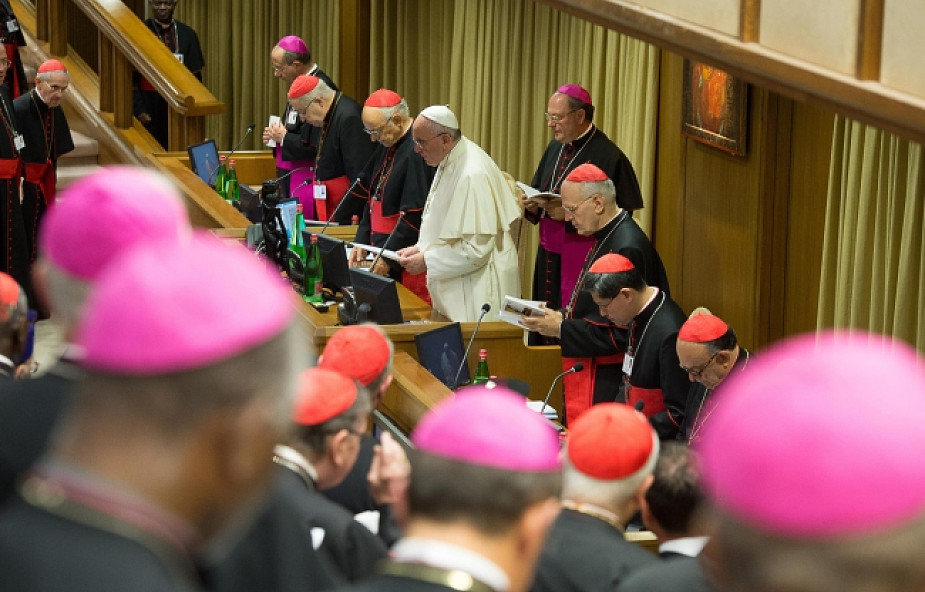 Synod: programy są niewspółmierne do kryzysu