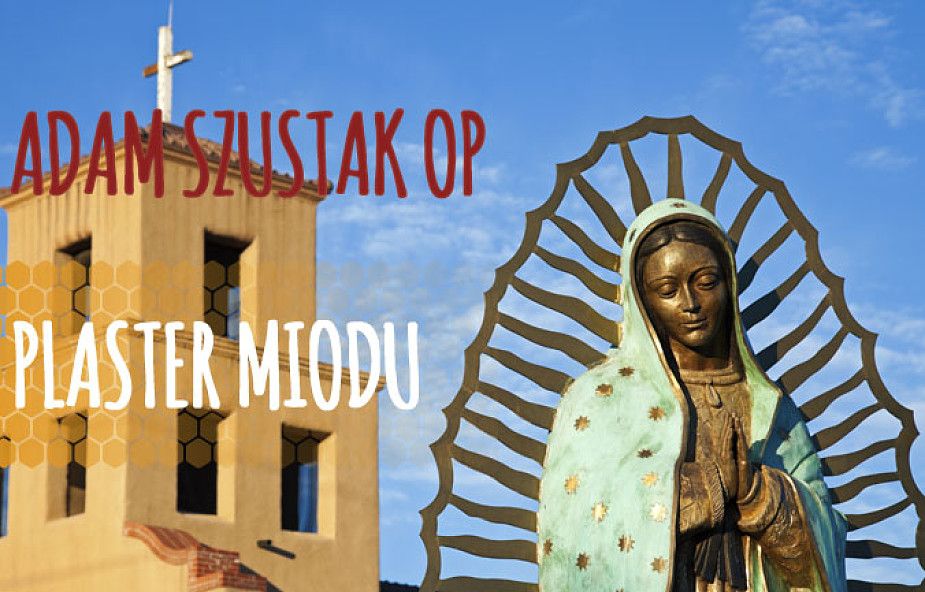 Plaster Miodu: niewolnik