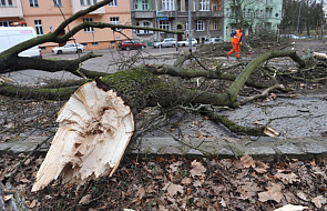 Wichury nad Polską - liczne zniszczenia