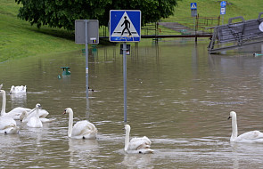Lubelskie: alarm powodziowy nad Wisłą
