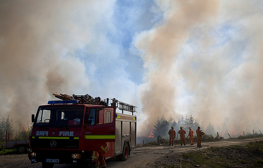 Pożary pod Ostrołęką; płonie 30 ha lasów