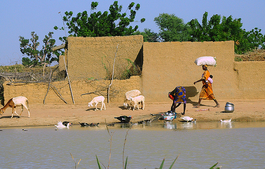 Mali: pilnie potrzebna żywność dla 2 mln ludzi