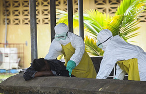 1229 ofiar epidemii Eboli w Afryce Zachodniej