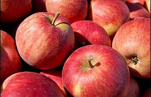 Austria: Minister rolnictwa zaleca jeść jabłka