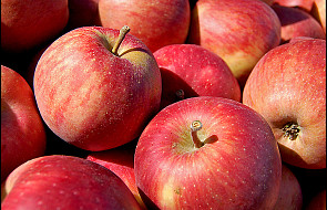 Polskie jabłka będą sprzedawane w Kanadzie?