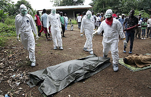Liczba ofiar epidemii Eboli wzrosła do 961 osób