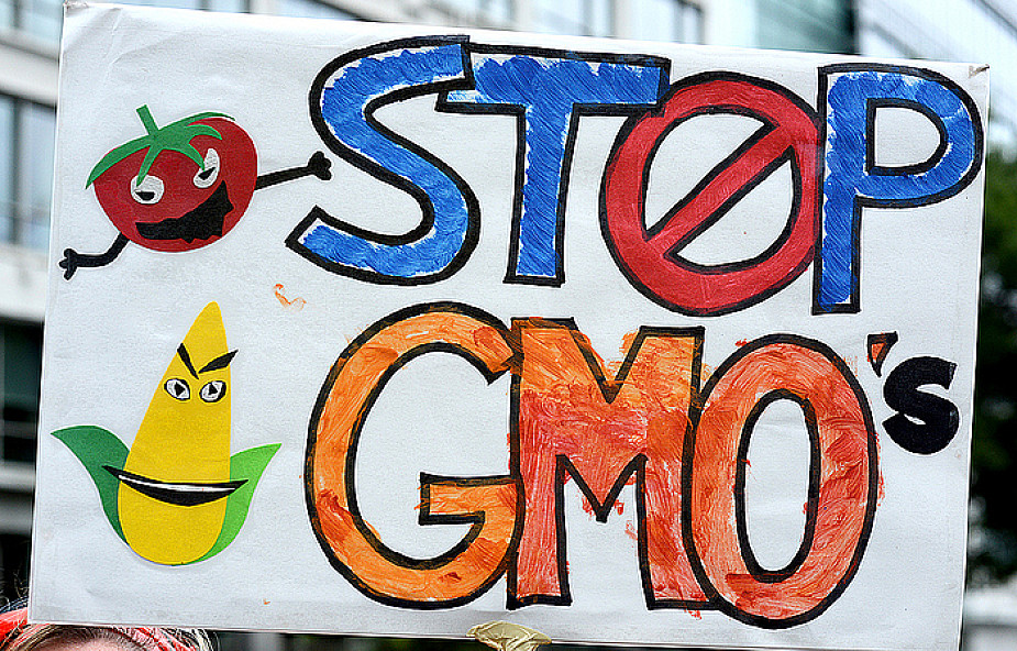 PE za przepisami ograniczającymi GMO
