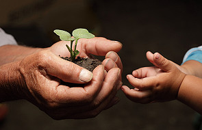 #Ewangelia: Jak uprawiać "glebę" duszy?