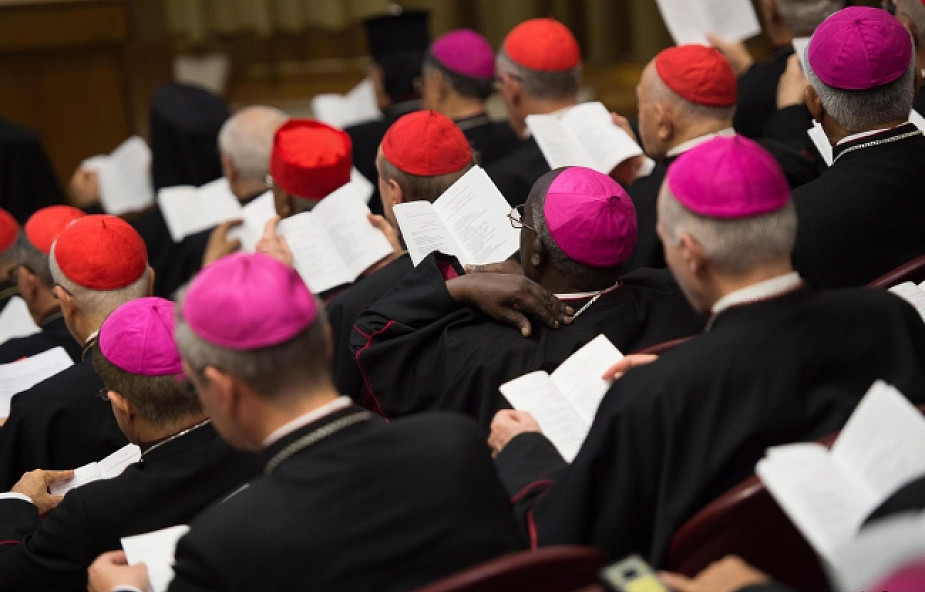 "Nie ograniczać Synodu do tematów europejskich"