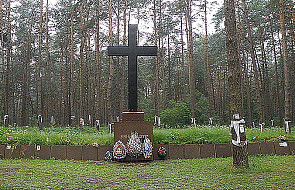 Sosnowy las w Bykowni cmentarzem ofiar Stalina