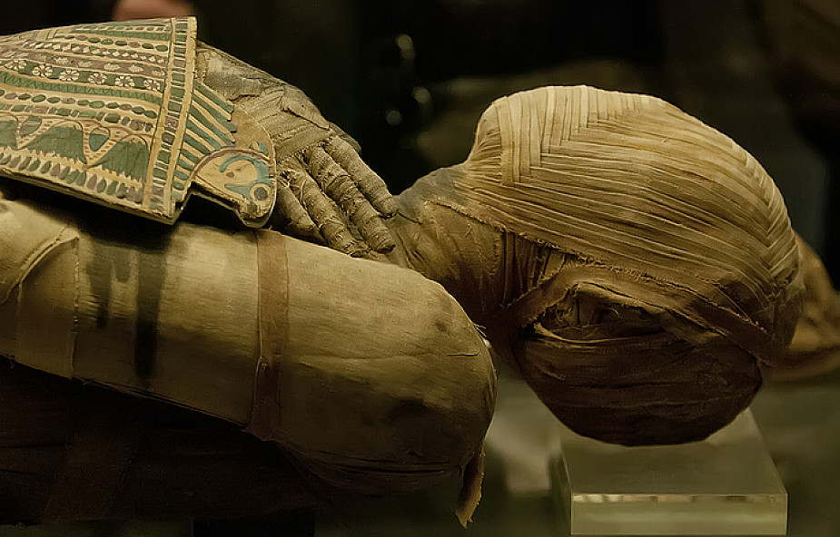 Polacy zbadają, czy starożytni Egipcjanie chorowali na raka