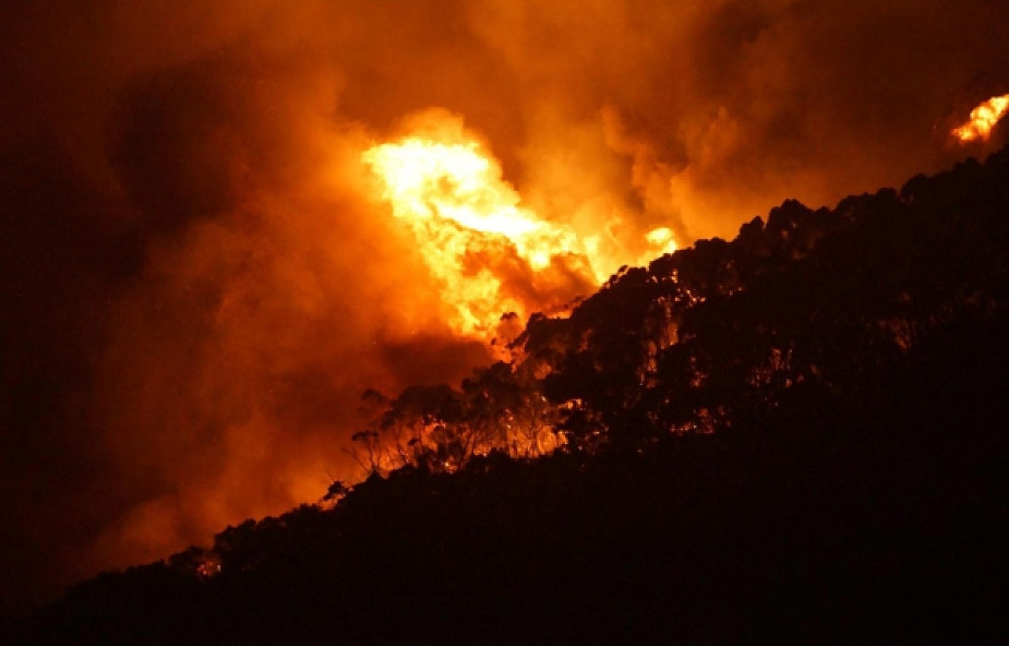 Australia: od kilku dni trwa walka z pożarami buszu