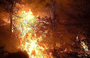 Hiszpania: Strażacy walczą z pożarami lasów