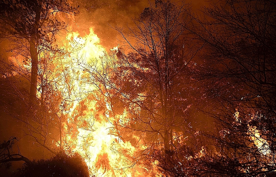 Hiszpania: Strażacy walczą z pożarami lasów