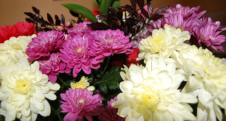 Mowa kwiatów w bukiecie ślubnym - zdjęcie w treści artykułu nr 4