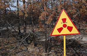 Czarnobyl: Pożar wokół elektrowni opanowany