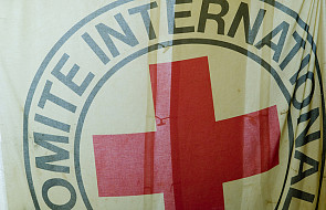 Czerwony Krzyż wzywa do zawieszenia broni