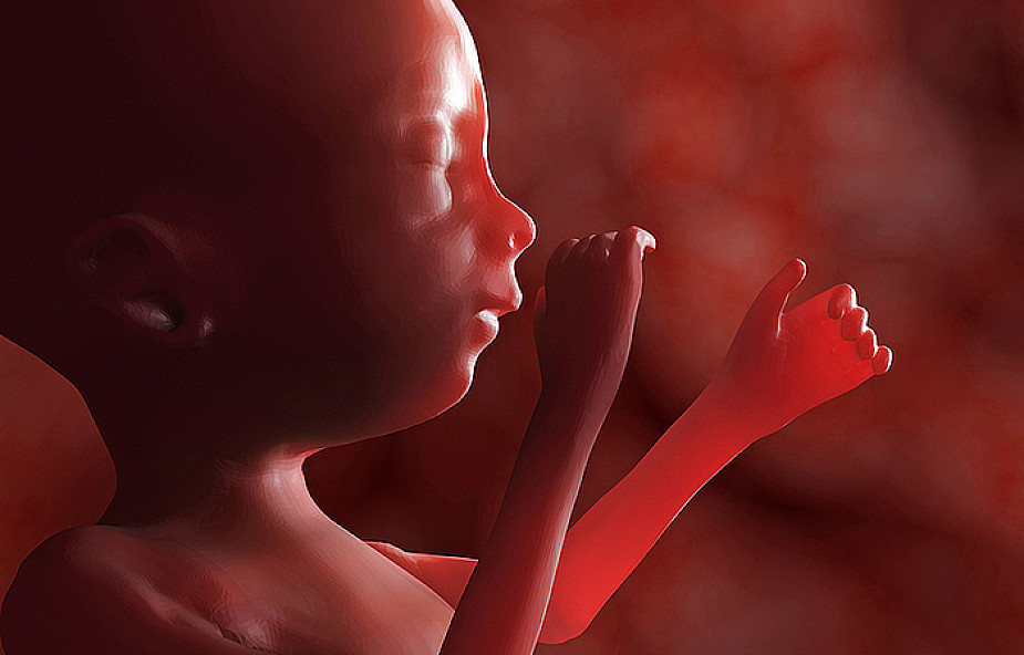 USA: Zmniejsza się ilość aborcji