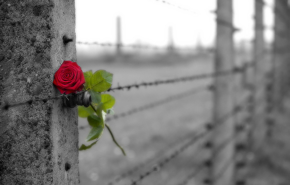 75 lat temu pierwsi Polacy trafili do KL Auschwitz