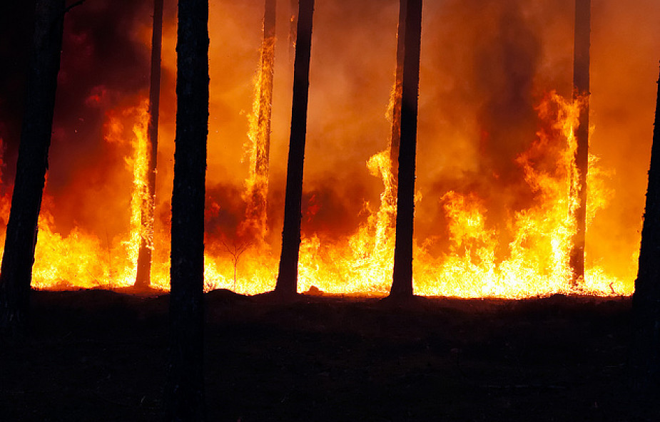 Rozprzestrzeniają się pożary lasów na Syberii