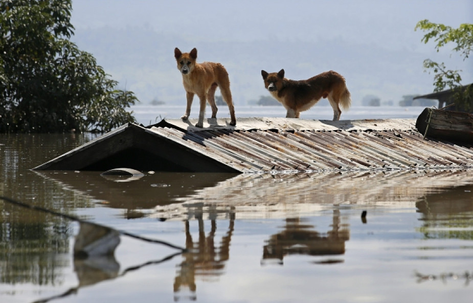 Birma: 46 ofiar śmiertelnych powodzi