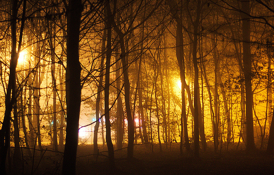 Ukraina: pożary wokół Kijowa zadymiły miasto