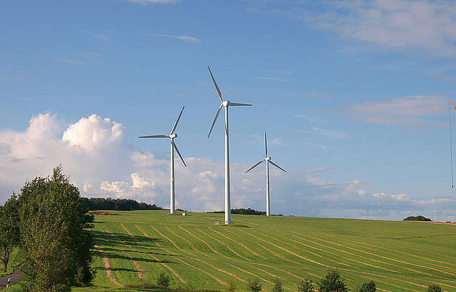 Dania: rekord świata w użyciu energii wiatrowej