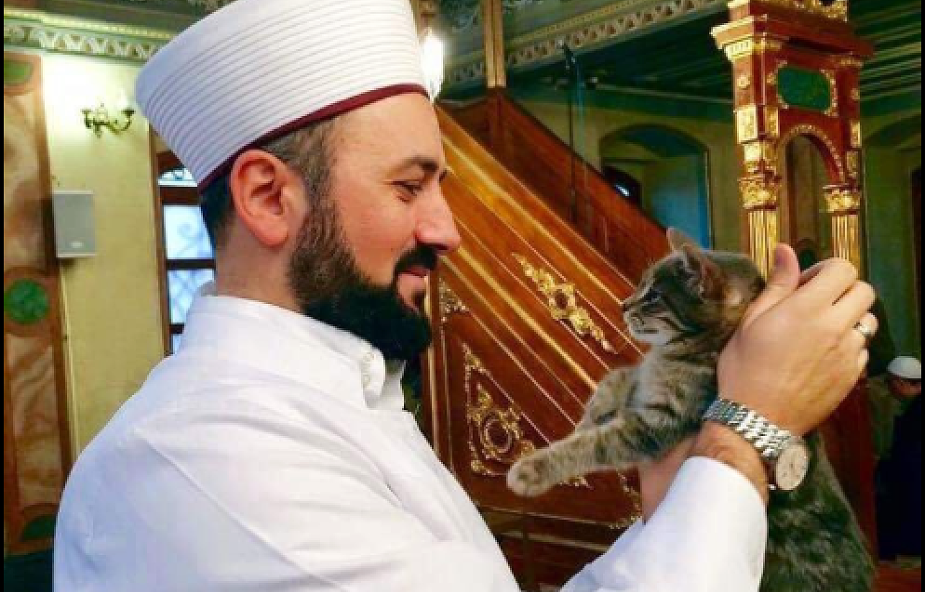 Imam zaprosił do meczetu... zmarznięte koty [WIDEO]