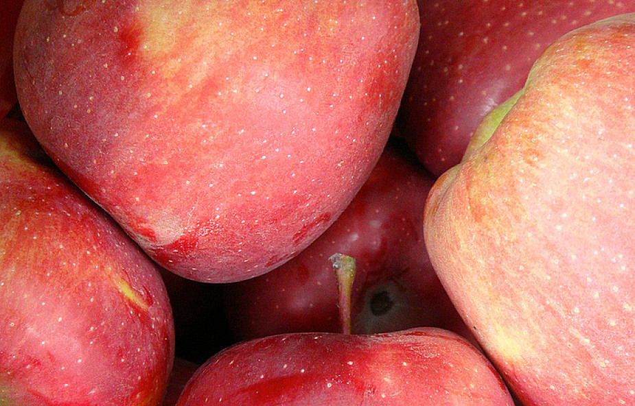 USA: postęp w otwarciu rynku dla polskich jabłek