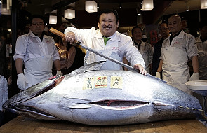 Japonia: 108 tys. euro za tuńczyka