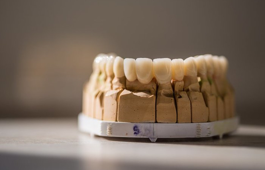 Zęby zdradzają dietę pierwszych rolników