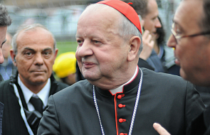 Stanowcze słowa kardynała Dziwisza o uchodźcach
