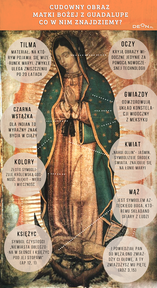 Co kryje w sobie wizerunek MB z Guadalupe? [INFOGRAFIKA] - zdjęcie w treści artykułu