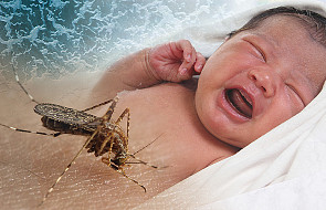 Hiszpania: kobieta zarażona Ziką urodziła zdrowe dziecko