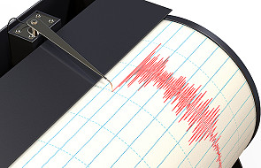 Meksyk: trzęsienie ziemi o sile 5,8 w skali Richtera