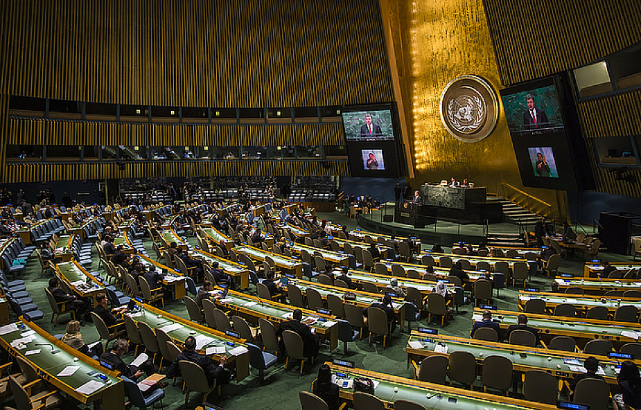 Watykan w ONZ: wolność to nie samowola