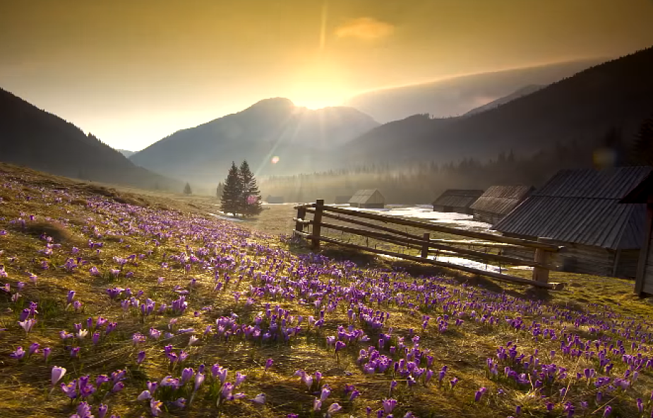 Zobacz cztery pory roku w Tatrach [WIDEO]
