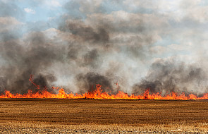 Polska: prawie 20 tys. pożarów traw