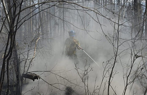 Trwa szacowanie skutków pożarów lasów w Kanadzie 