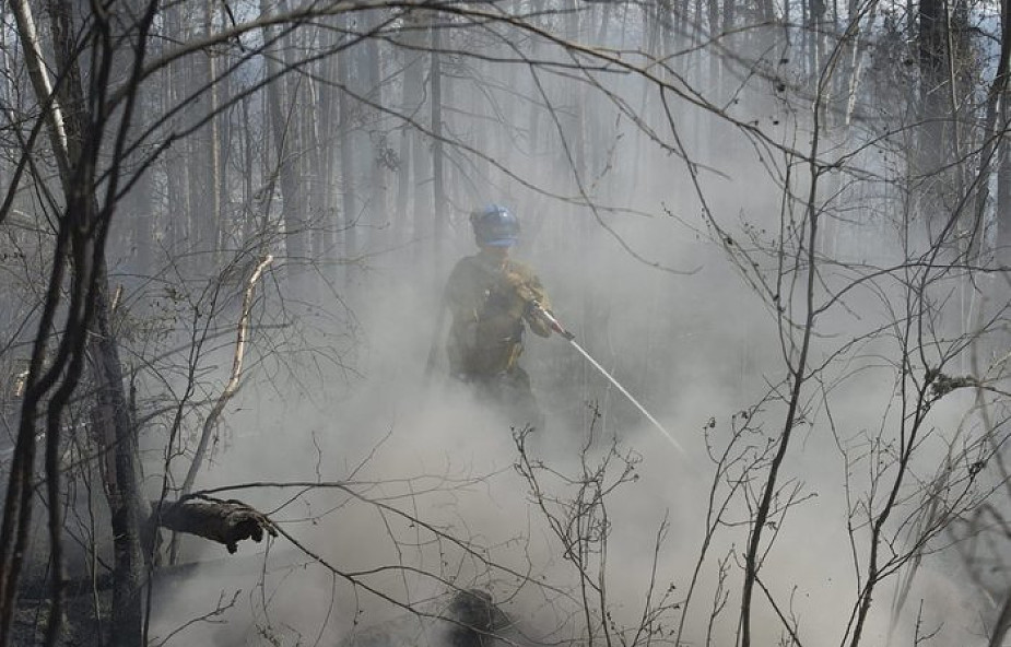 Trwa szacowanie skutków pożarów lasów w Kanadzie 