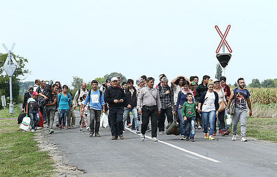 Bułgaria: na granicy zatrzymano wielu nielegalnych imigrantów