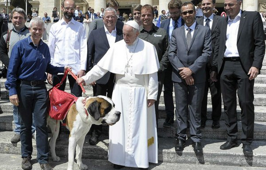 Papież "przyjął" na audiencji psa bernardyna