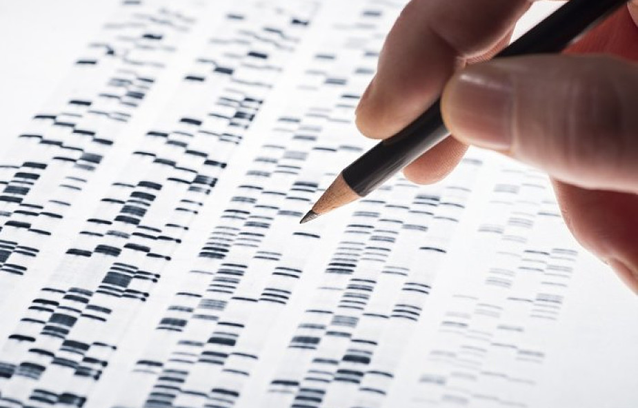 Co nam powie DNA z muzealnych kolekcji
