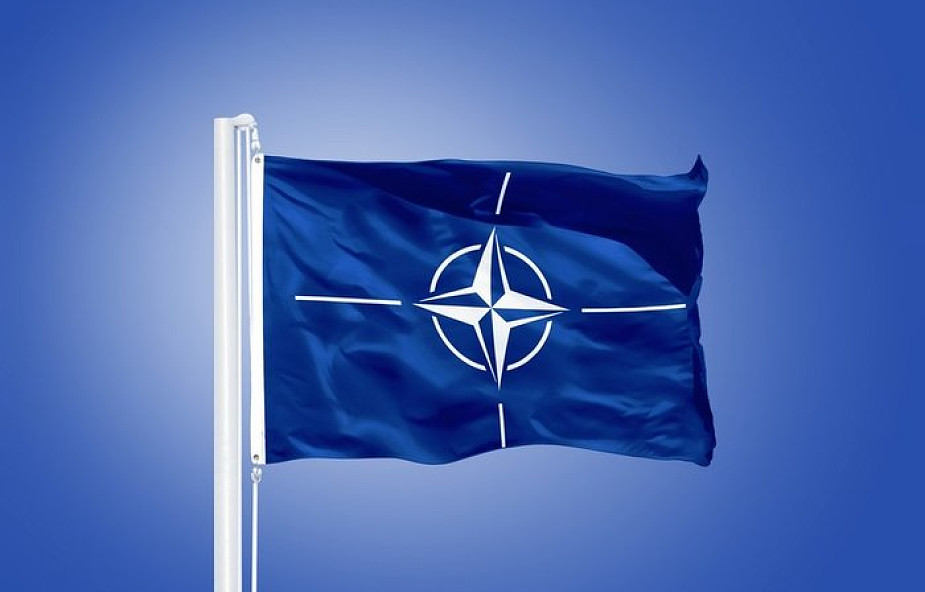 NATO: jedność sojuszu głównym tematem szczytu?