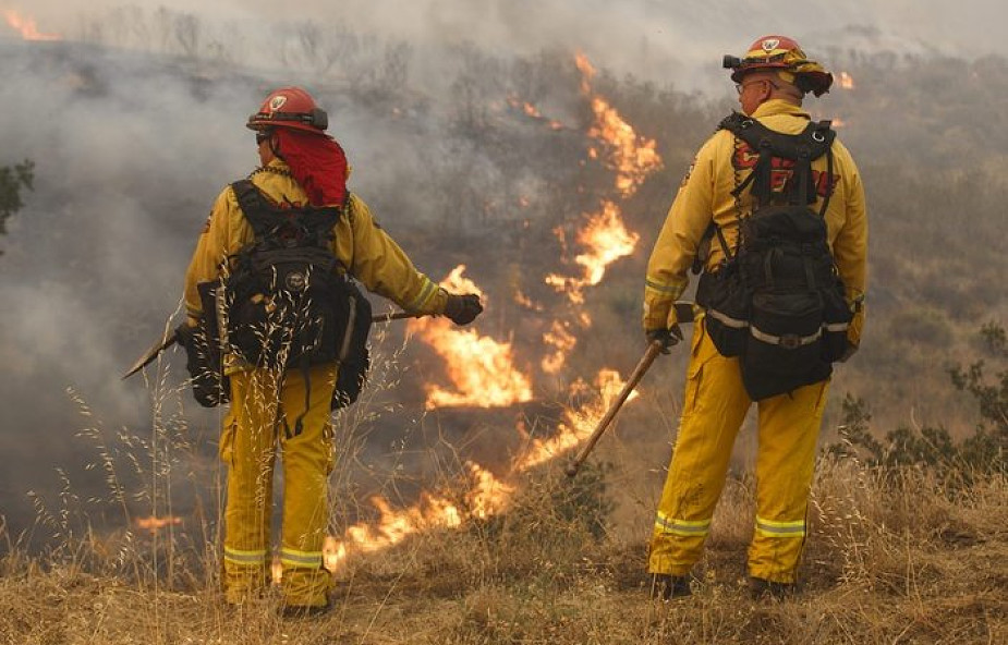 USA: wielkie pożary lasów w pobliżu Los Angeles