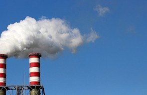 WHO: 92% ludzi oddycha zanieczyszczonym powietrzem