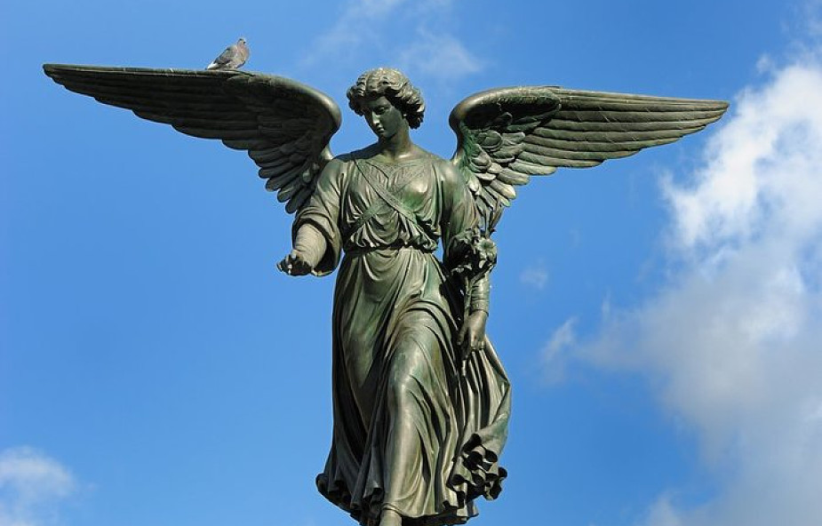 5 rzeczy, które powinieneś wiedzieć o aniołach