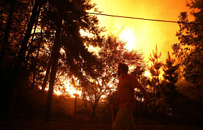 Największe pożary lasów w historii Chile