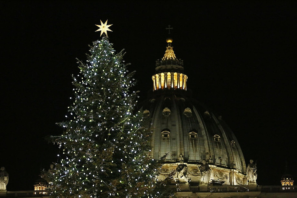 W tym roku papieskie drzewko bożonarodzeniowe przybędzie z Polski - zdjęcie w treści artykułu